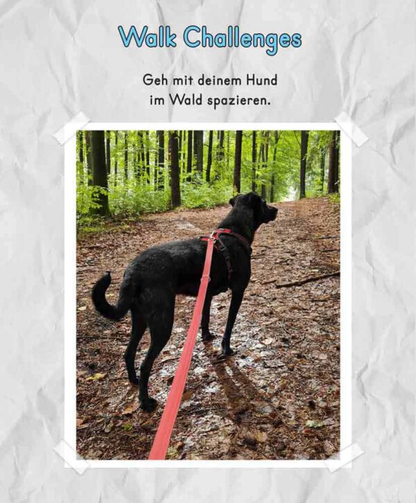 Ein schwarzer Hund im Wald mit roter Leine.